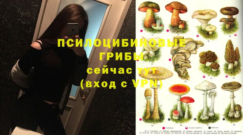 Галлюциногенные грибы Magic Shrooms  Тобольск 